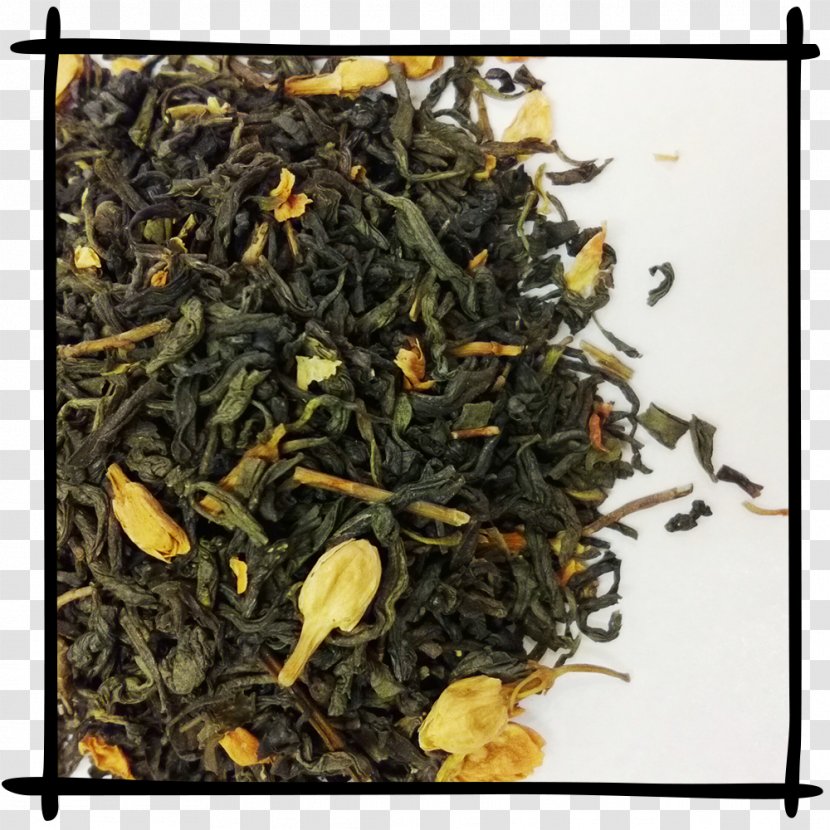 Assam Tea Earl Grey Keemun Oolong Lapsang Souchong - Romeritos - Jasmine Transparent PNG