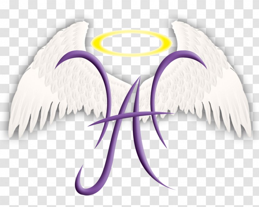 Holy Angels National Catholic Church Of North America Wilton Manors Clip Art Catholicism - Eye - Immaculate Conception Transparent PNG