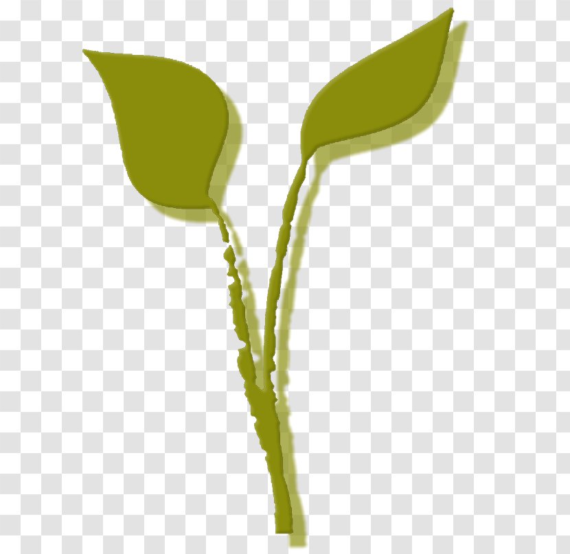 Leaf Plant Stem Flower Product Design Graphics - Catering Set Up Small Transparent PNG