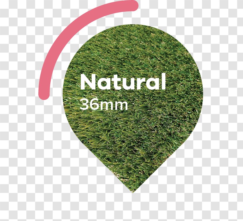 Artificial Turf Lawn Sod Garden Landscaping - Color - Autumn Meadow Transparent PNG