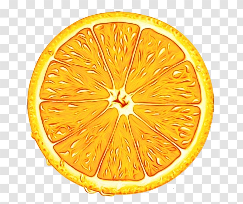 Orange - Lemon - Bitter Citron Transparent PNG