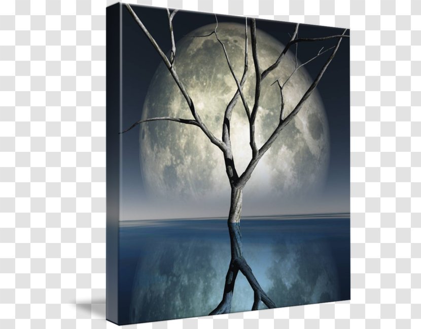 Picture Frames Gallery Wrap Art Stock Photography - Wood Transparent PNG