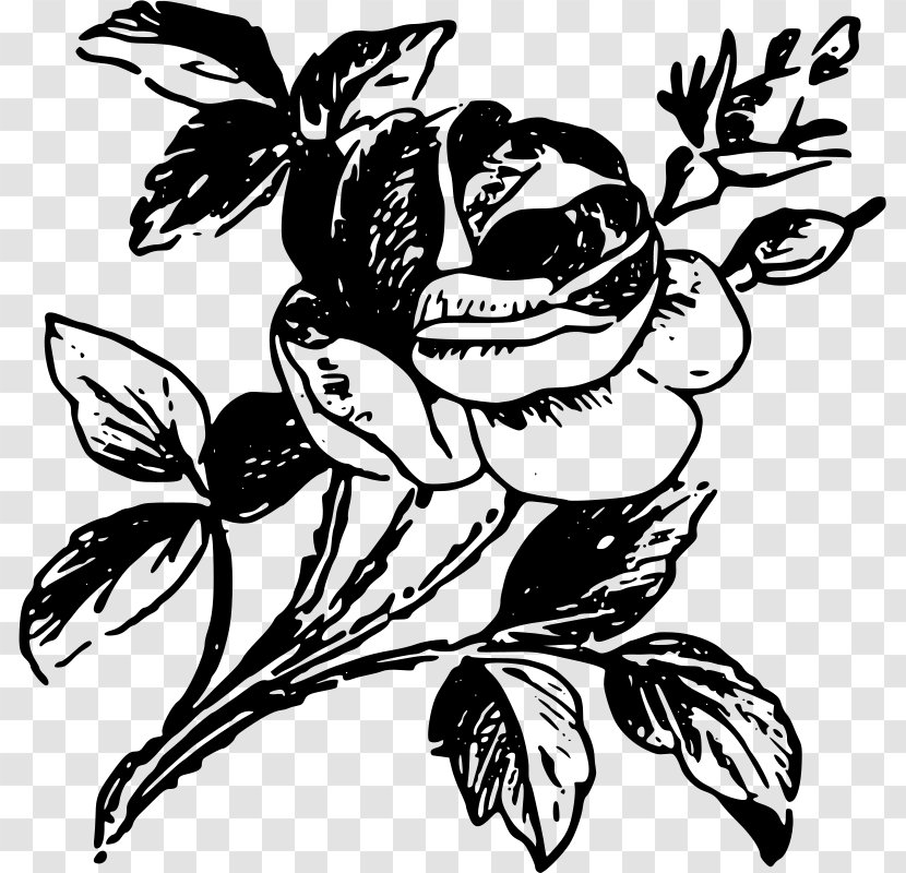 Rose Drawing Stencil Art - Artwork Transparent PNG