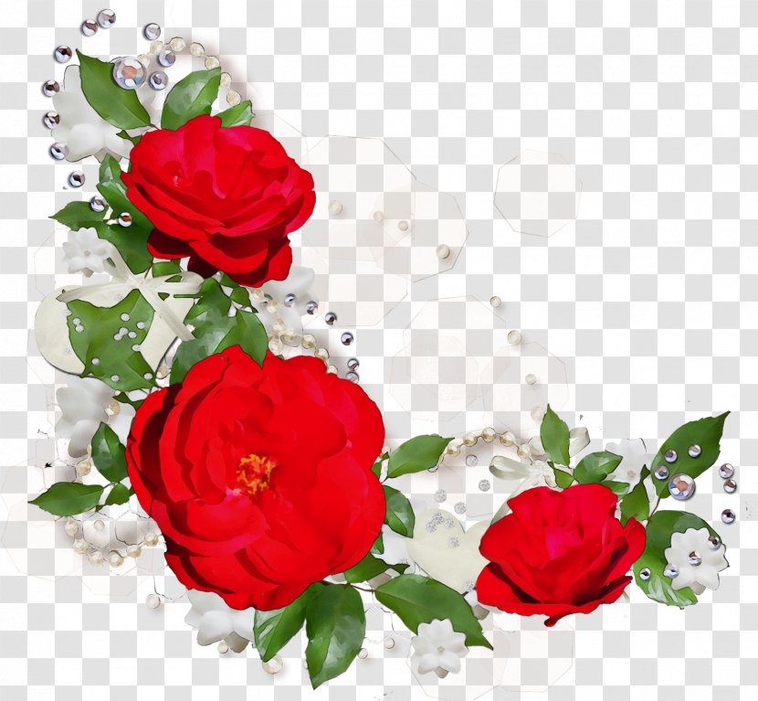 Garden Roses - Cut Flowers - Petal Floribunda Transparent PNG