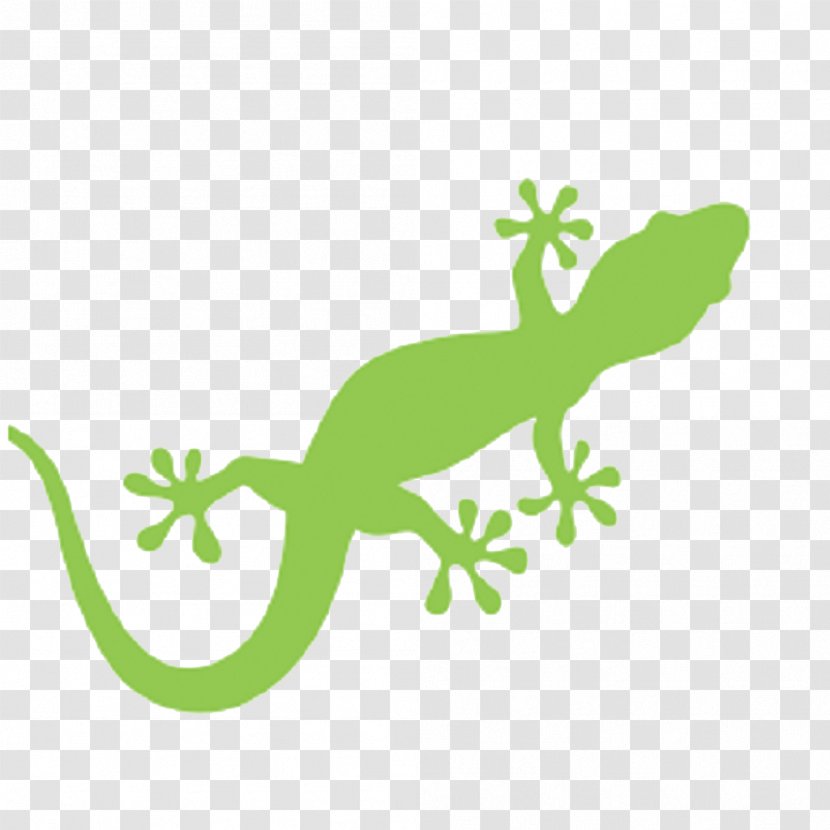 Lizard Gecko Royalty-free - Plant Stem Transparent PNG