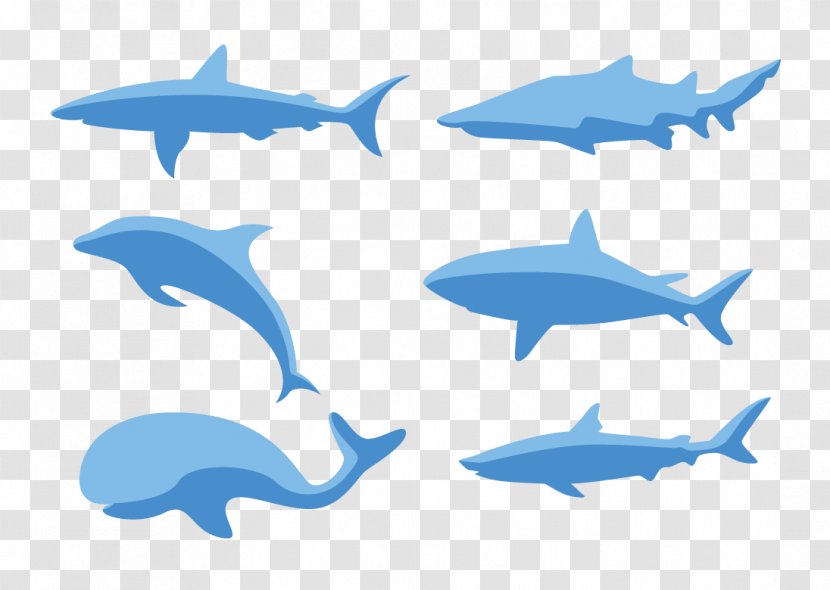 Common Bottlenose Dolphin Clip Art - A Variety Of Fish Transparent PNG