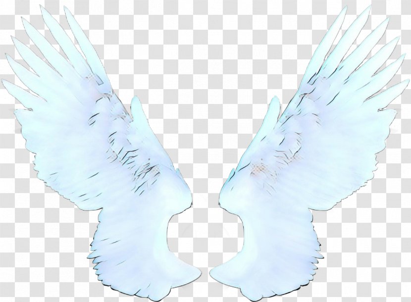 Cartoon Cloud - Citrix - Angel Feather Transparent PNG