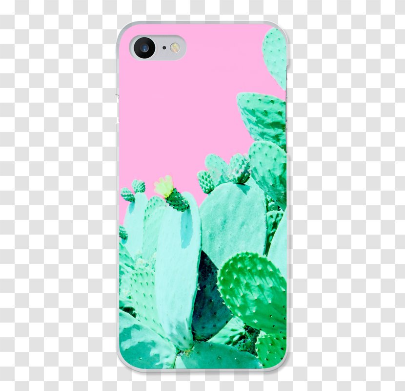 Cactaceae Cactus Garden Desert Art - Green - Cactuse Transparent PNG