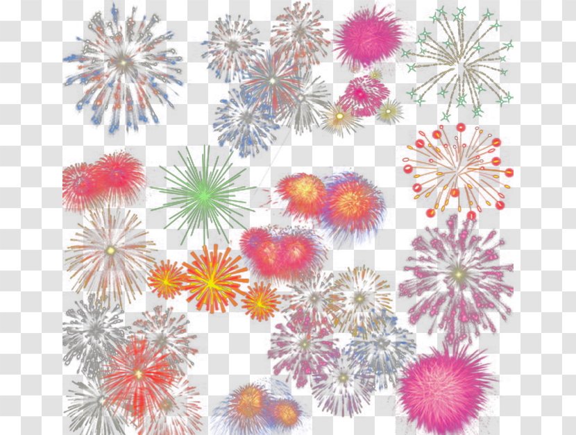 Dahlia Floral Design Chrysanthemum Petal Pattern - Flower - Fireworks Transparent PNG