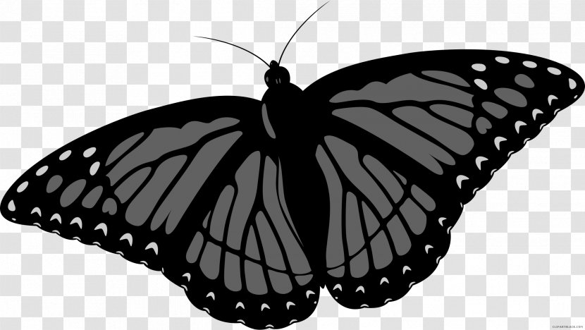 Monarch Butterfly Clip Art - Public Domain Transparent PNG
