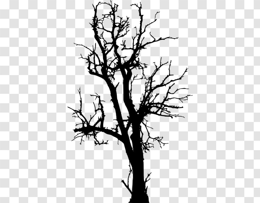 Clip Art Tree Silhouette Image - Twig - Of Life Drawing Monochrome Photography Transparent PNG