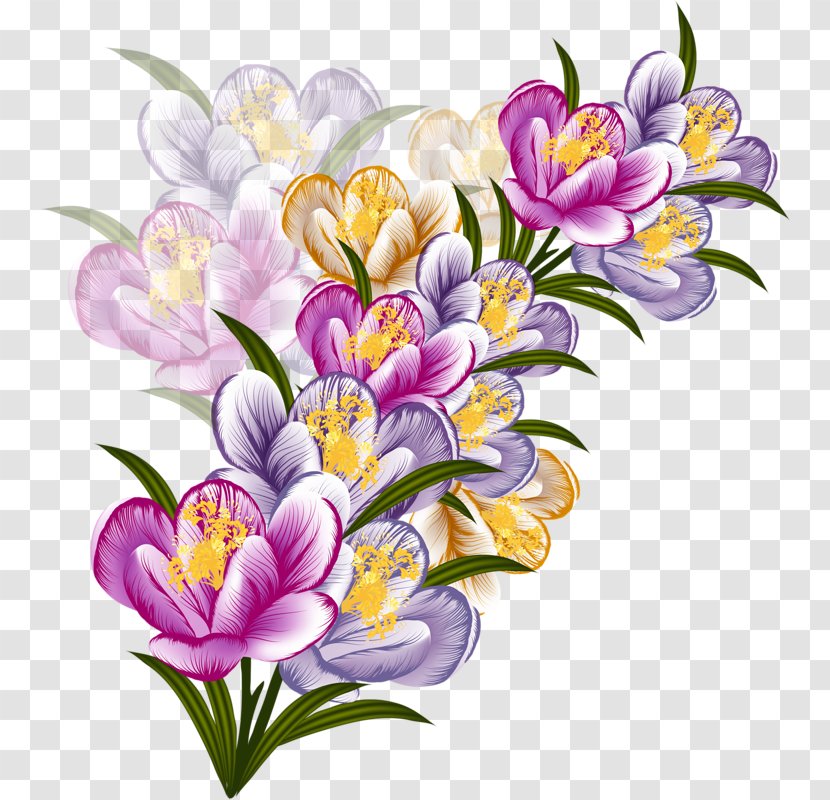 Flower Floral Design Clip Art - Petal - Crocus Transparent PNG