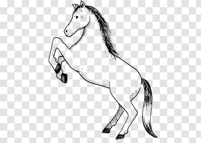 Mule Stallion Mustang Colt Mane - Mythical Creature - Learning Journey Exhibition Transparent PNG