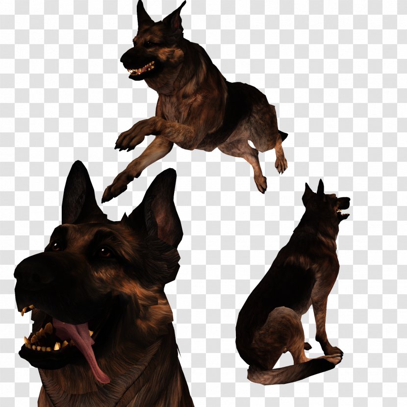 Fallout 4 German Shepherd Dogmeat Kunming Wolfdog - Lancashire Heeler - Mist Transparent PNG
