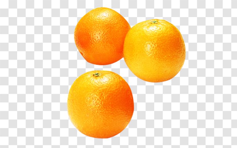 Orange Juice Clementine Tangerine - Tangelo - Food Image Material Transparent PNG