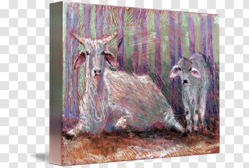 Cattle Goat Painting Wildlife Livestock - Fauna - Angry Cow Transparent PNG
