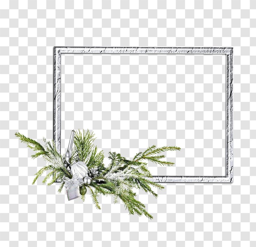 New Year Frame - Vascular Plant - Fir Pine Transparent PNG