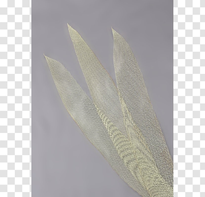 Feather Material Transparent PNG