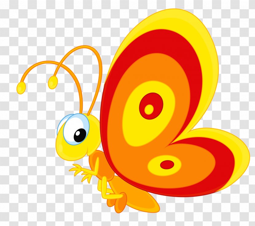 Butterfly Drawing Clip Art - Invertebrate - Rama Transparent PNG