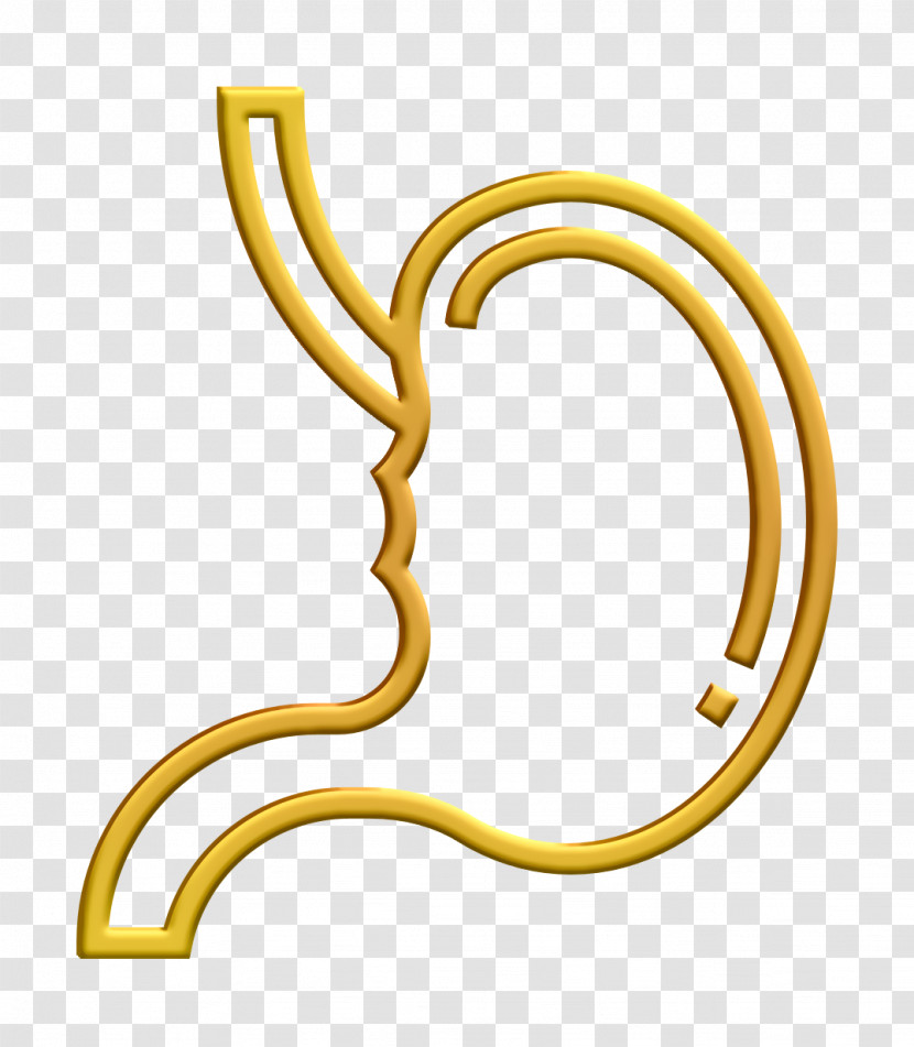 Human Organs Icon Stomach Icon Transparent PNG