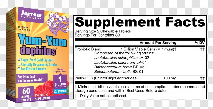 Dietary Supplement Probiotic Tablet Formula Capsule - Gut Flora Transparent PNG