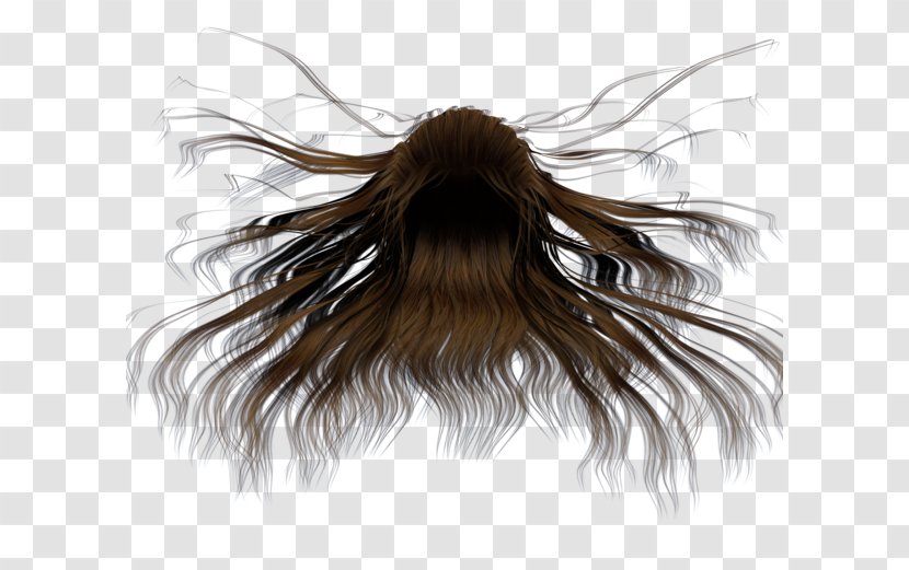 Brown Hair - Cartoon - Long Transparent PNG