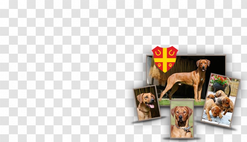 Picture Frames Animal - Frame - Rhodesian Ridgeback Transparent PNG