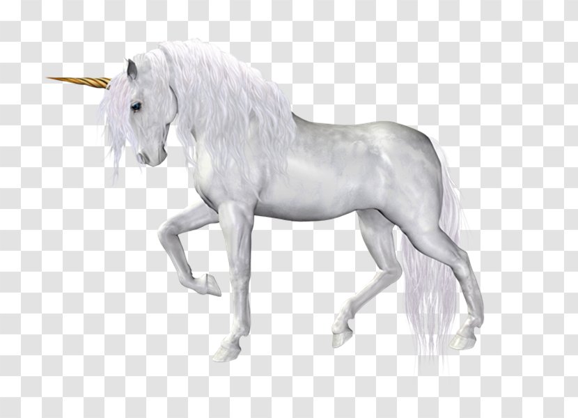 Unicorn Mane Horse Transparent PNG