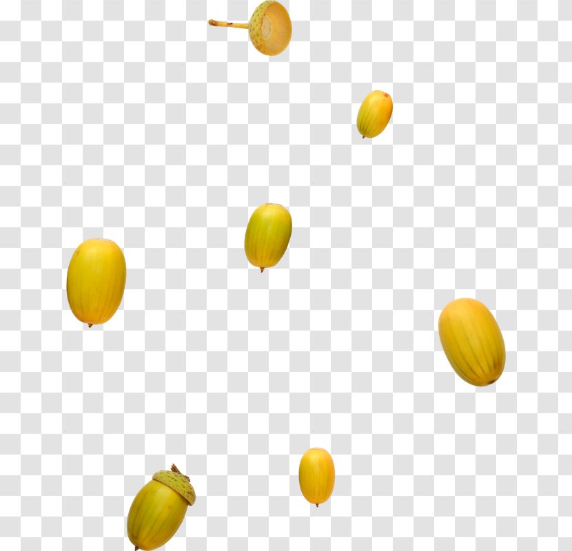 Lemon Orange Fruit - Acorn - Floating Transparent PNG