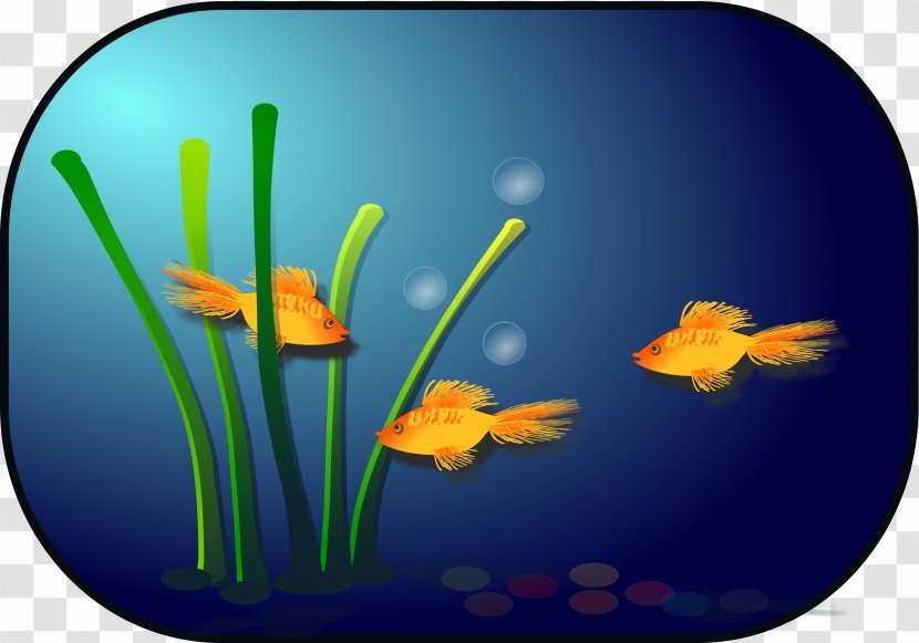 Goldfish Clip Art - Drawing - Fish Tank Transparent PNG