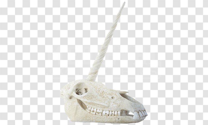 Skull Bone Human Skeleton Horn - Head Transparent PNG