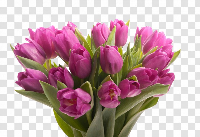 Flower Bouquet Floristry Tulip Gift - Bride Transparent PNG