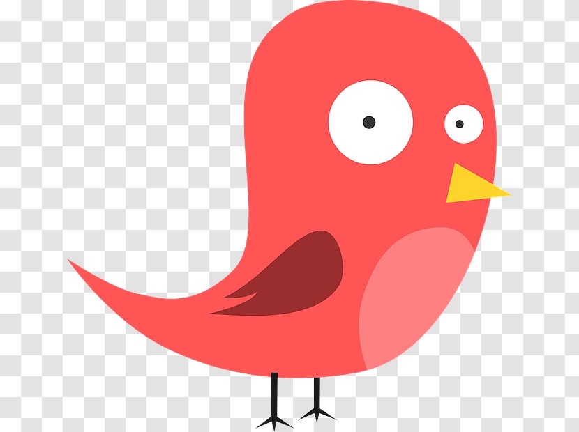 Bird Red Clip Art Cartoon Beak - Plant Songbird Transparent PNG