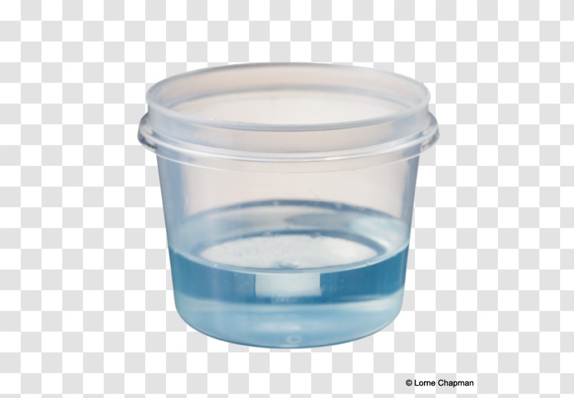 Food Storage Containers Lid Plastic Liquid - Container Transparent PNG