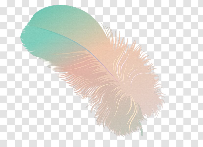 Feather Drawing Blog - Trinity Transparent PNG