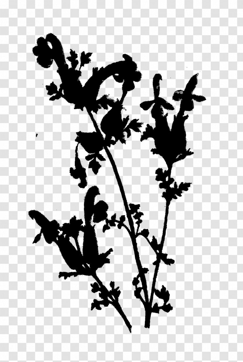 Flower Plant Stem Leaf Clip Art Silhouette - Botany - Twig Transparent PNG