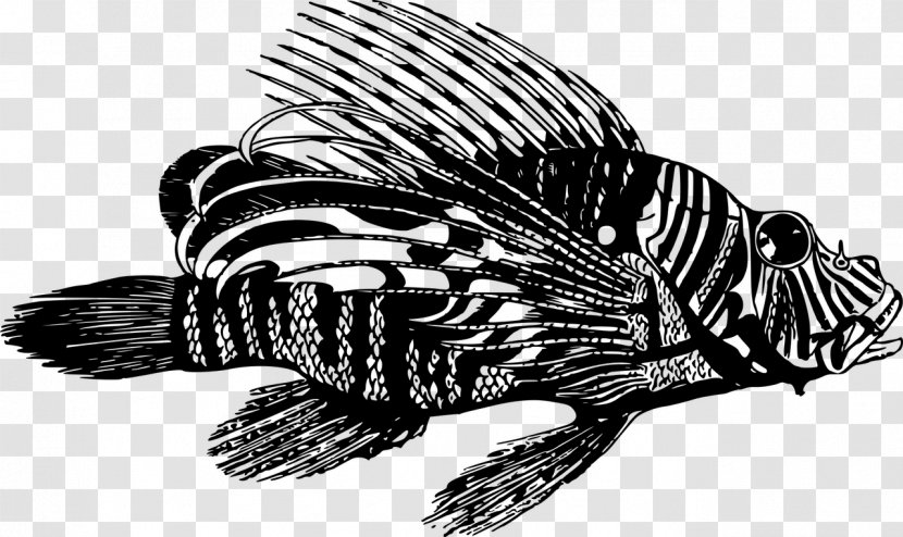 Lionfish Clip Art - Black And White - Fish Transparent PNG