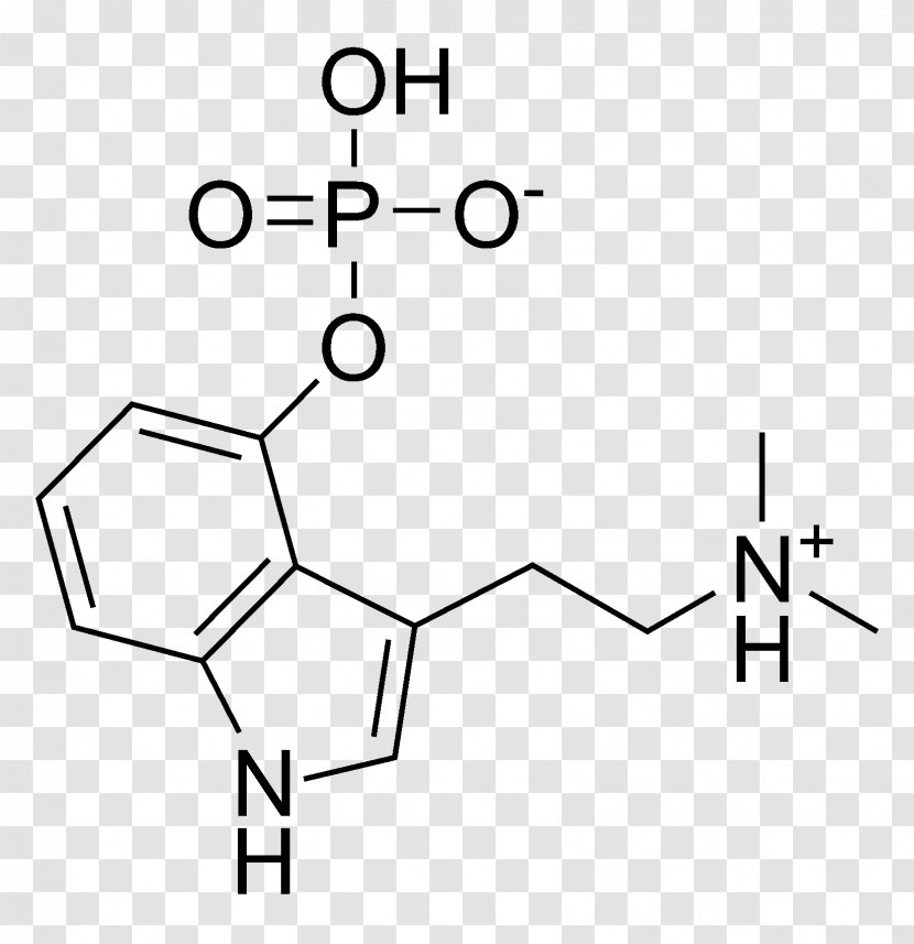 Indolamines N,N-Dimethyltryptamine Psilocybin 5-MeO-DMT Psychedelic Drug - Point - Molecular Structure Background Transparent PNG