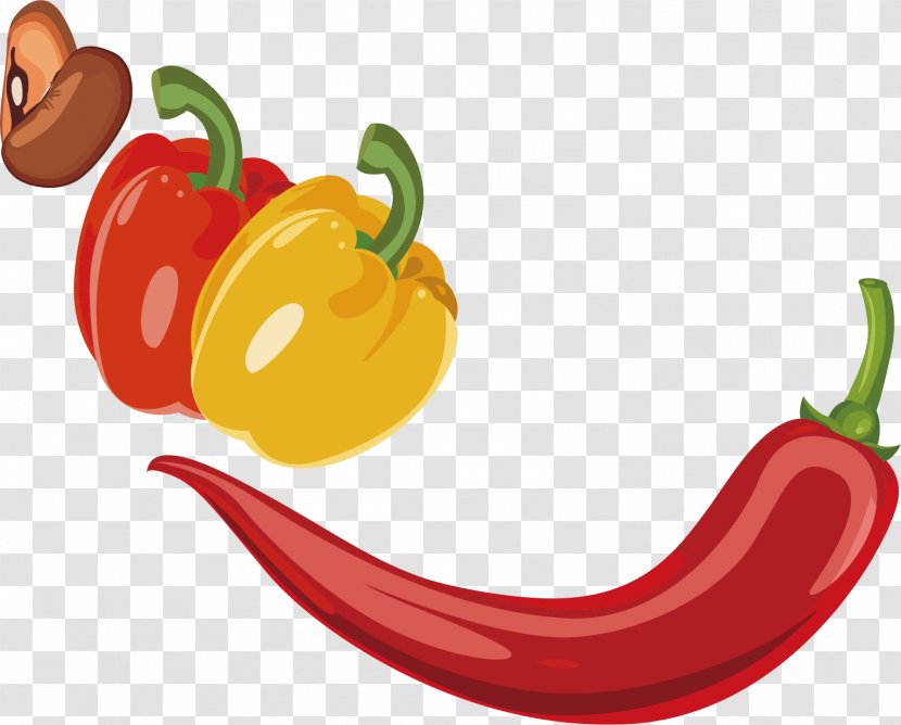 Chili Pepper Bell Vegetable - Cartoon - Vegetables Transparent PNG