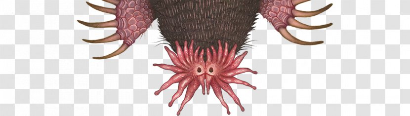 Invertebrate Hair Coloring Neck Transparent PNG