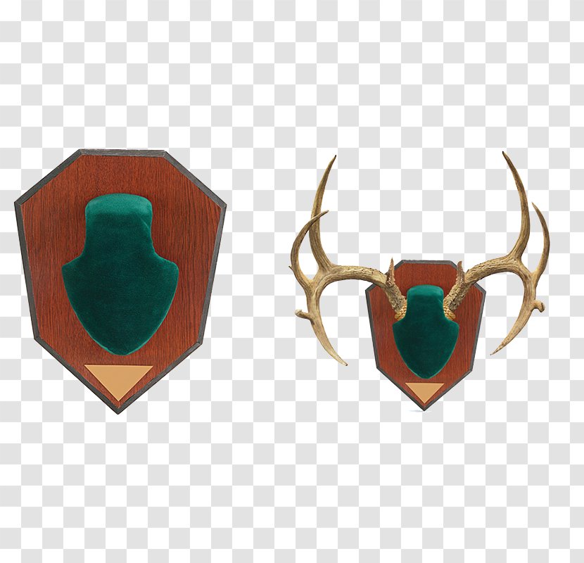 Antler Horn Deer Clothing Accessories Skull Mounts - Green Transparent PNG