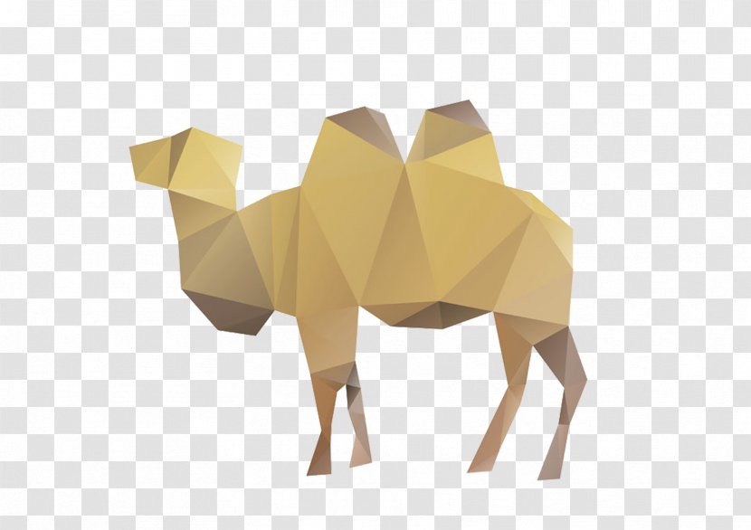 Camel Giraffe Euclidean Vector Illustration - Animal - Irregular Transparent PNG