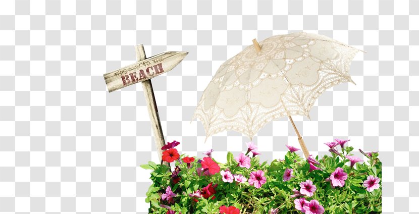 Flower Morning Glory Icon - Vine - Umbrella Flowers Transparent PNG