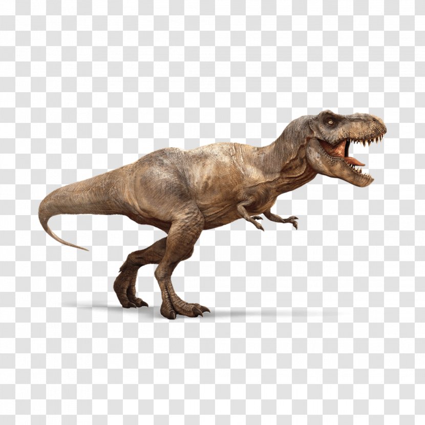 Tyrannosaurus Dinosaur Ankylosaurus Triceratops Ian Malcolm Transparent PNG