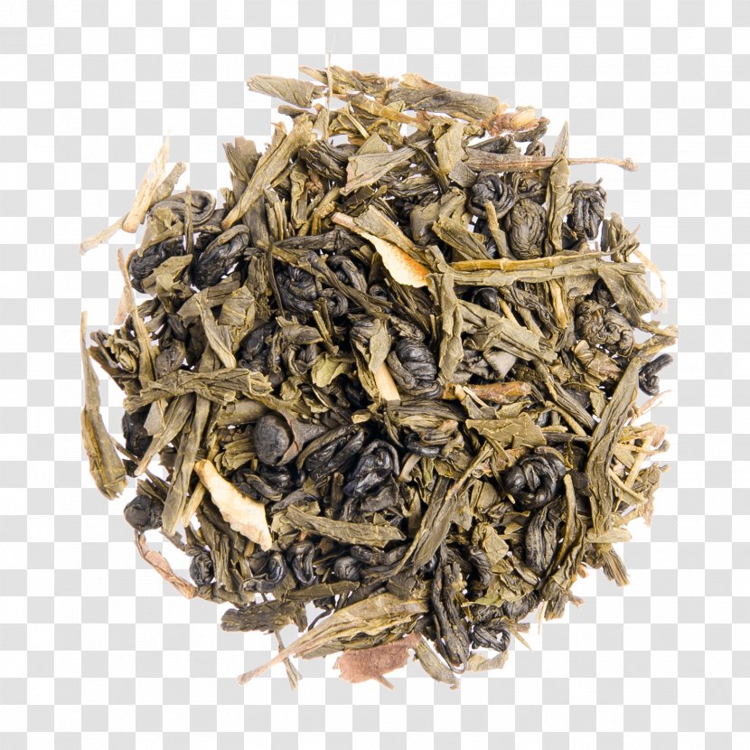 Darjeeling White Tea Ambootia Iced - Herbal Transparent PNG