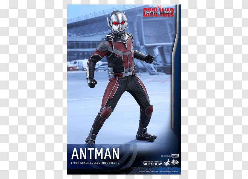 Captain America Ant-Man Hot Toys Limited Marvel Cinematic Universe Transparent PNG