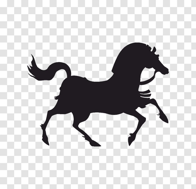 Vector Graphics Horse Drawing Image Illustration - Tack Transparent PNG