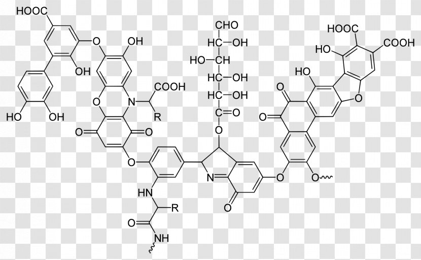 Humic Acid Fulvic Soil Structure - Humin Transparent PNG