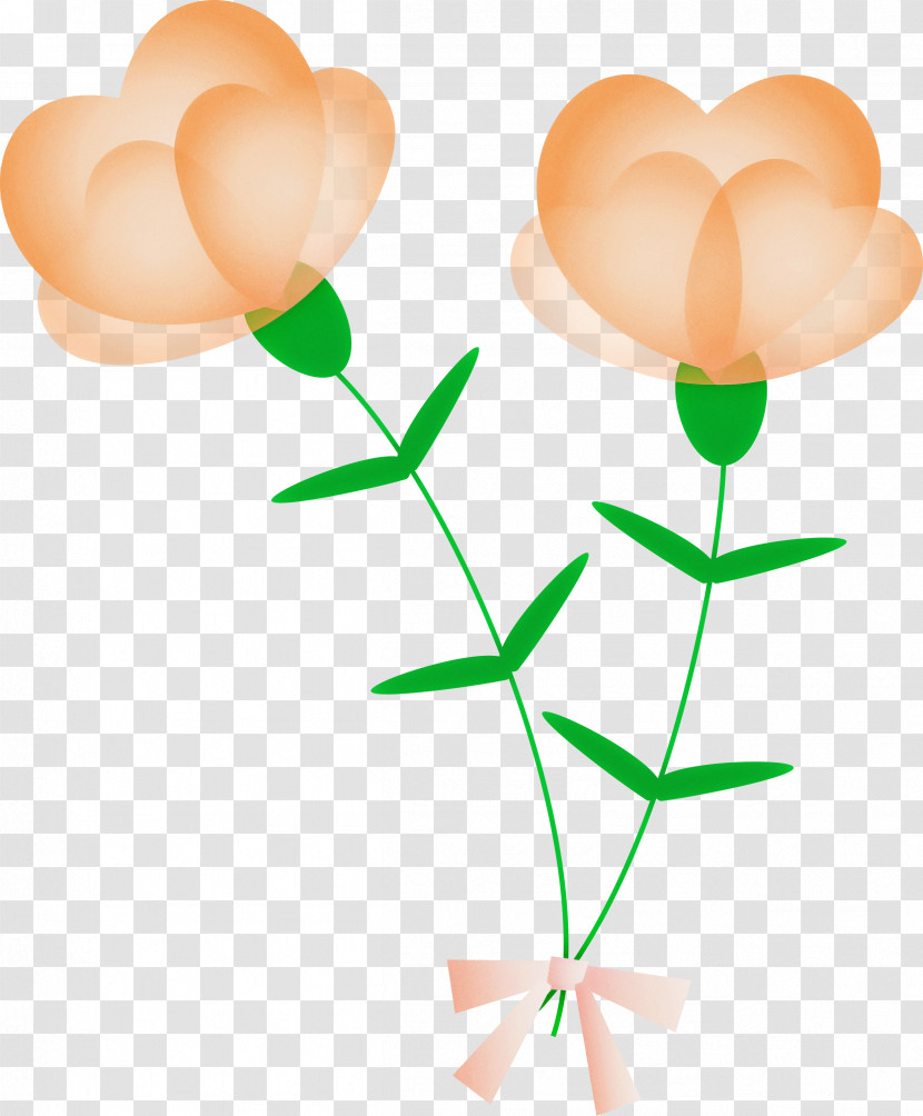 Mothers Day Carnation Mothers Day Flower Transparent PNG