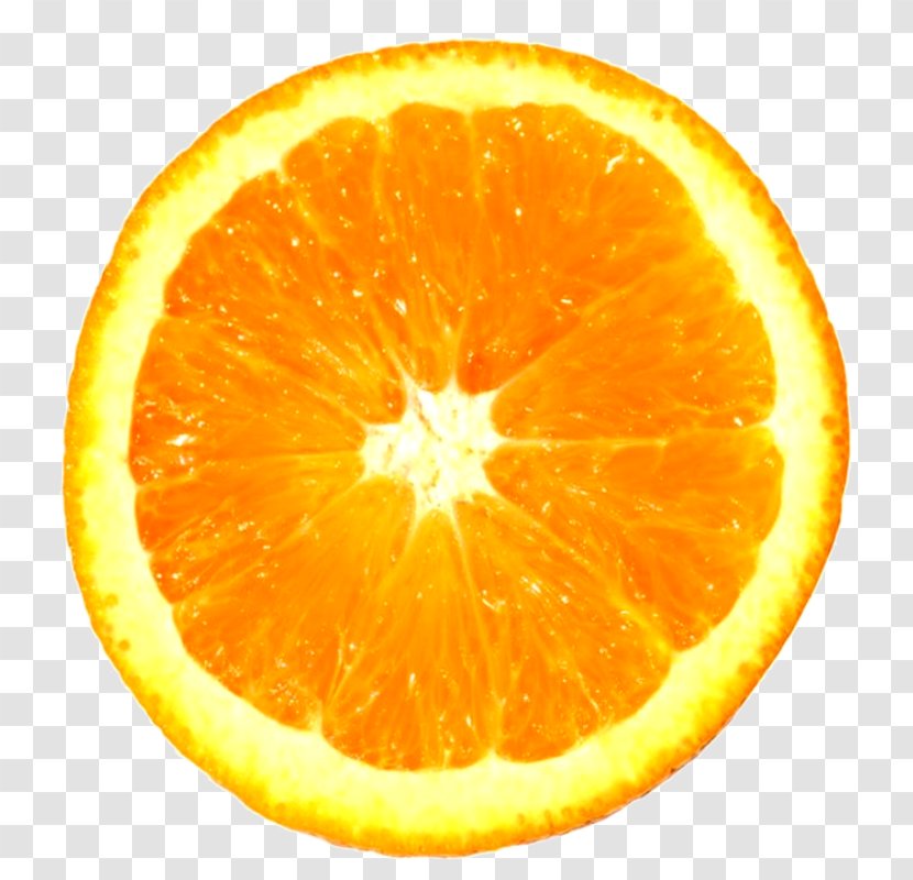 Orange Slice Juice Citrus Lemon - Fruit Transparent PNG
